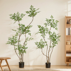 緑植は高級感があります。