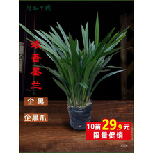 mī~ˮ߅īmצ۷mޥm^pGֲ