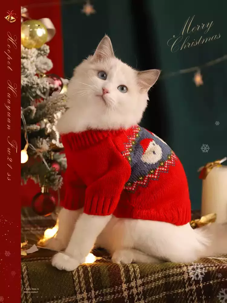 猫咪衣服冬季红色喜庆新年毛衣猫猫布偶的过年宠物小猫拜年防掉毛