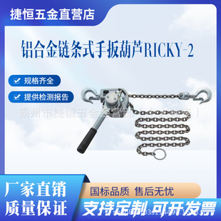RICKY-2�ߏ����X�Ͻ��ְ���J�ձ�NGK�m��춸߿վo�����ʩ������