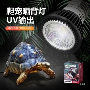 ������B��uvb�a�}��10.0ȫ���V��������������������⾀��