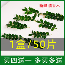 ����ľ���r�~�ӵ����b���ľ����決������Ʒ�c�Y���ݾGֲ�S��