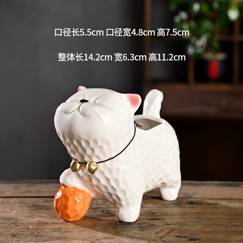 Gatito blanco pisando la pelota