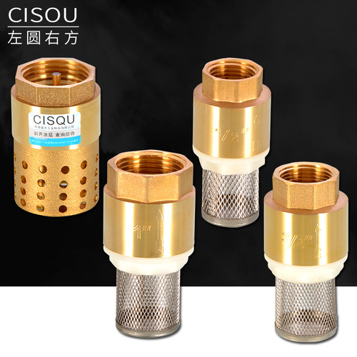 4 minutes 6 minutes 1 inch brass water pump pump bottom valve with filter water pipe one-way valve reverse check valve