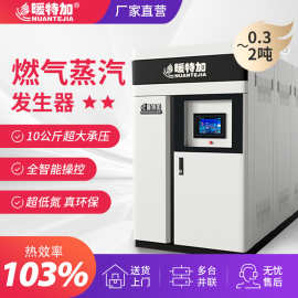 天燃气蒸汽发生器低氮1吨杀菌商用酿酒专用然气液化气2吨蒸汽锅炉