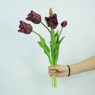 �������Ʒ�|�ָ�ܛ�z�����ٻ���ʽ������c�������W�҃ȿ͏d�[��