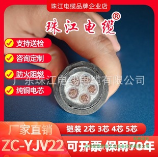 V|齭| ZC-YJV22 ȫҎӡքPb늾 ͉|