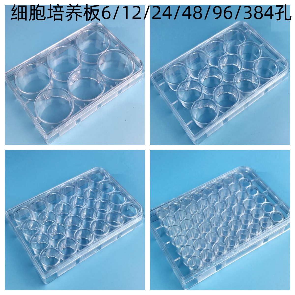 甄选LABSELECT细胞培养板6孔12孔24孔48孔96孔384孔TC处理独立装