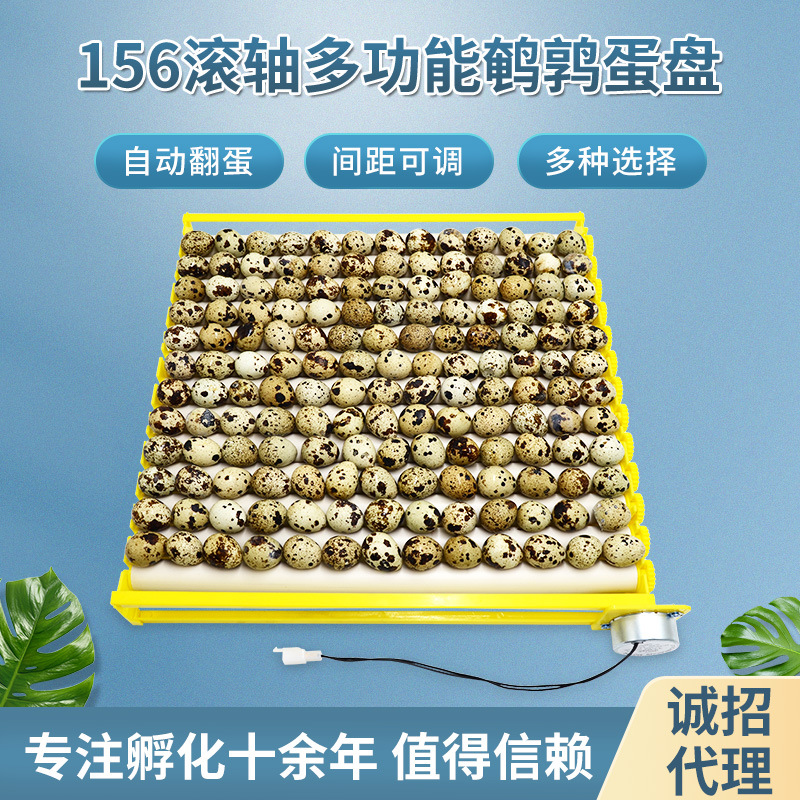 Incubadora pequeña placa de huevo hogar multifunción placa de huevo automático pollo pato ganso pájaro huevo placa rodillo huevo placa
