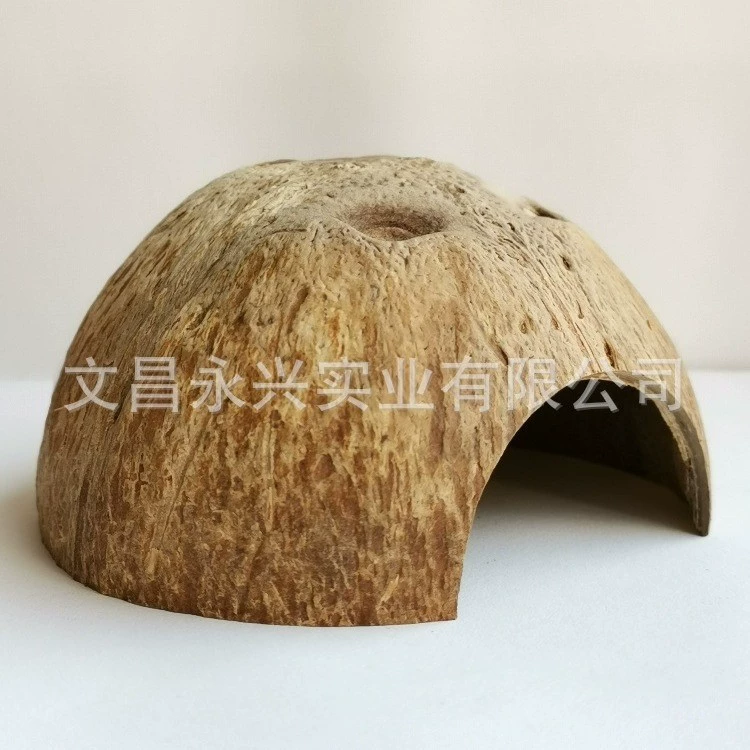 Рептилия кокосовая скорлупа избегает пещеры паук-скорпион