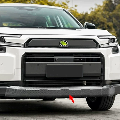 Toyota Rav4 Weilanda 26 Models: Şüşə kənarı xromları/moldingləri