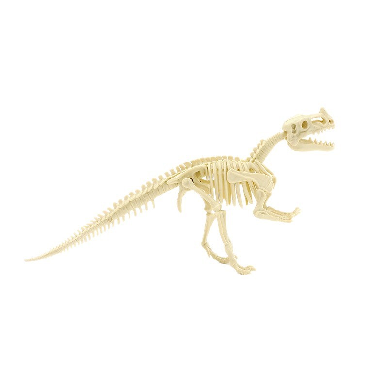 スケルトン恐竜ノジロサウルスおもちゃ組み立てスケルトンモデル子供組み立て知能開発 DIY 教材セット|undefined