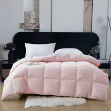 新款立体羽绒被95%白鹅绒加厚保暖秋冬被芯全棉静音朵朵绒被批发