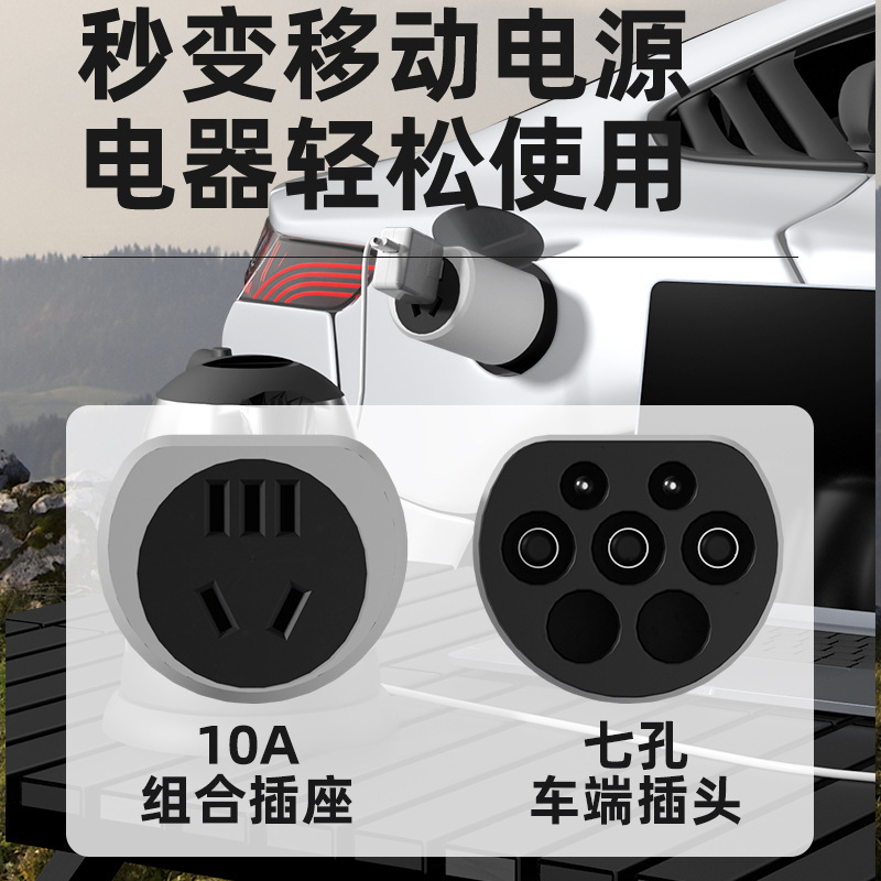 Byd Seagull, Dolphin, Seal, and Sea Lion Electric Vehicles' External Charging Plugs and Power Adapters