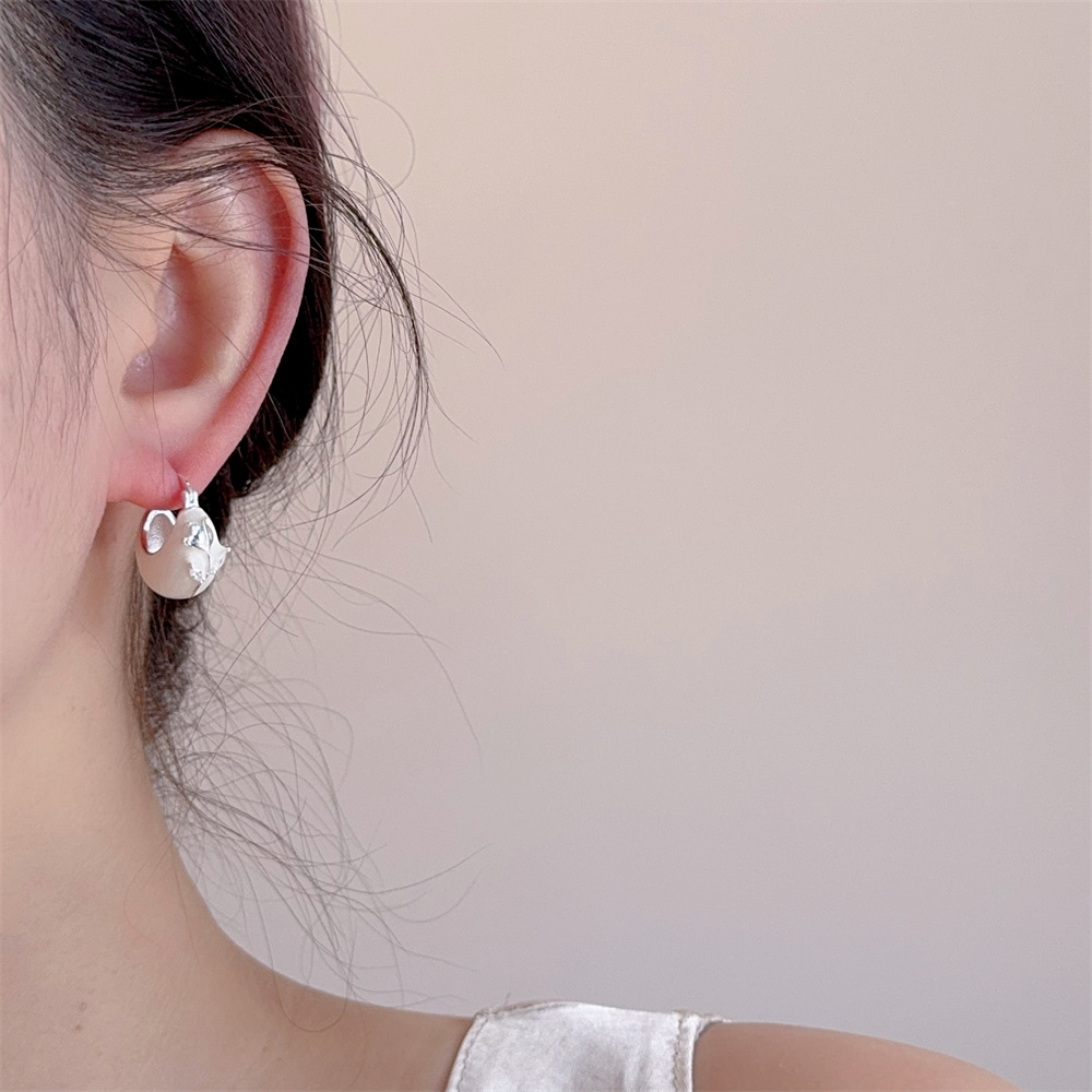 1 Pair Elegant Sweet Geometric Alloy Hoop Earrings display picture 4