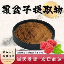 覆盆子提取物10:1覆盆子粉水溶性食品级原料植物萃取粉末现货包邮