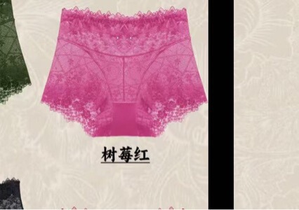 Cross-Border French-Style Pure Desire Sexy Lace Triangle Panties for Women, Plus Size Transparent Mesh Anti-Exposure Boxer Briefs for Women