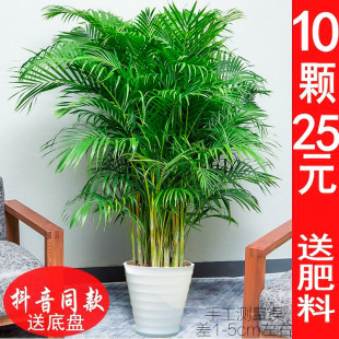 �W�tɢβ���͏d���;Gֲɢβ���҃�����ֲ������Ҭ�ӾGֲ�Pβ���