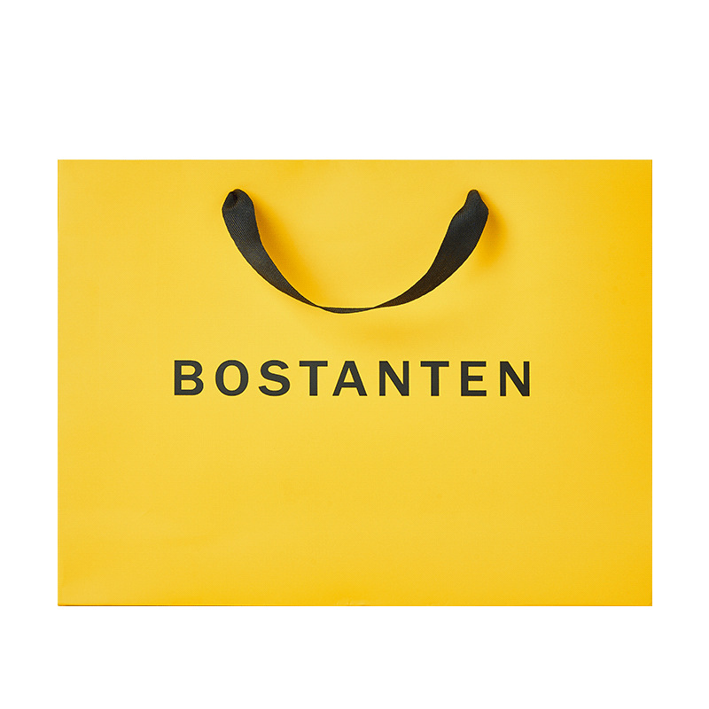 Boston brand gift bag