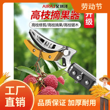ժˮ����s�U��ժ��֦������÷�������֦���߿�֦������