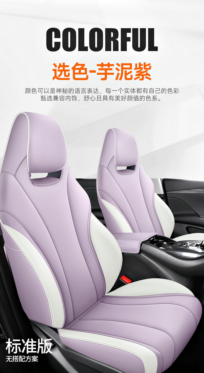 BYD E2 stylish simple wear-resistant dirt-resistant feel comfortable special perforated leather cartoon version 5 color seat cover
