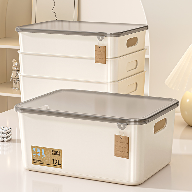 Miscellaneous Storage Box Household Snacks Toys Cosmetics Storage Box with Lid Rectangular Storage Basket Desktop Storage Box