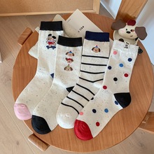 2025＾Ʒm n|TinsLɐcӼС|Ͳm