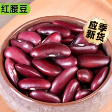 ��ϼt�����tܿ��5���r�����r녶���׸�؛�s�Z�����t������؛