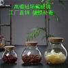 Cork stopper Glass Canister transparent Glass jar Storage tank candy biscuit Tea pot originality LIGHT