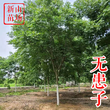 oӡ㽭2-25߀oӘ С ̎