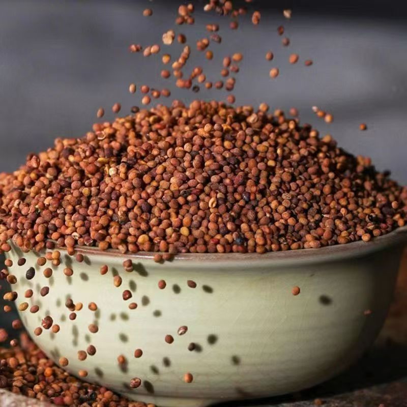 Dodder Seed Tu Si Zi 500g Dried Cuscuta Seeds for Wine Infusion Soup and Decoction specifications