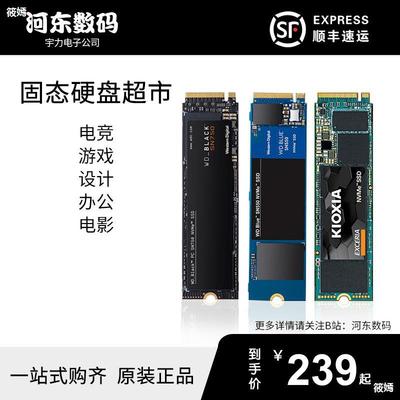 河東數碼 固態硬盤超市 250G 256G 500G 512G 1T台式機固態盤