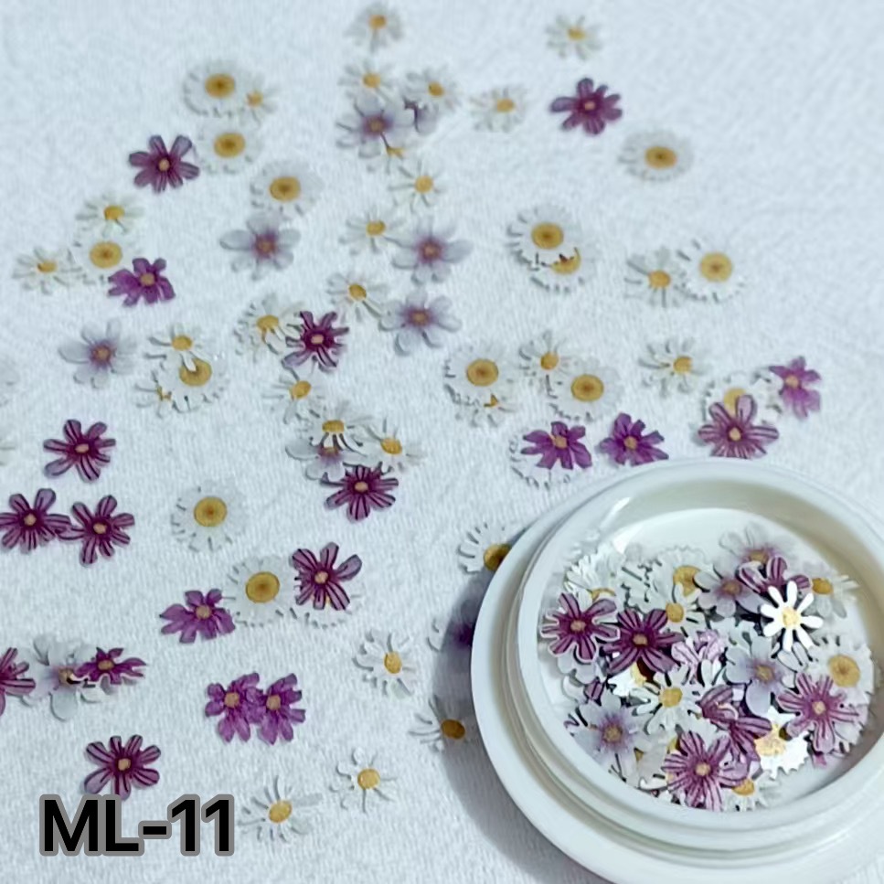 ML-11