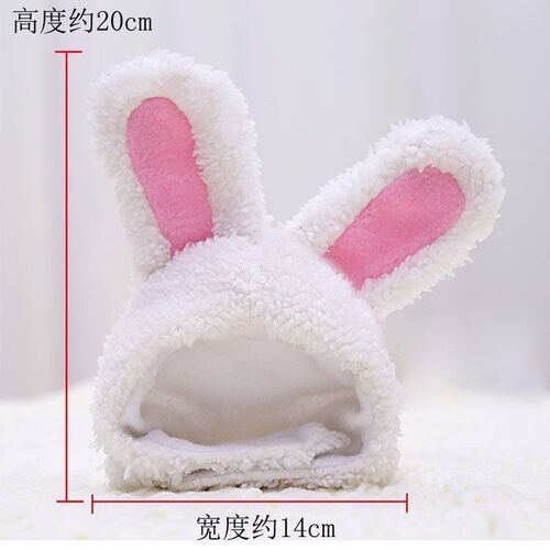 New Year Pet Hat and Headband Cute Cat Teddy and Bichon Dog Costume Accessory Transform Headwear Scarf