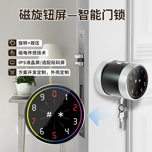 Smart Door Lock Knob Screen Electronic Lock Control Switch Ips Lcd Display Smart Home Accessories