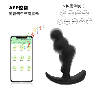 Lealso Sm Prostate Backcourt Remote Control Vibrating Silicone Anal Plug for Men and Women, Silent Adult Products