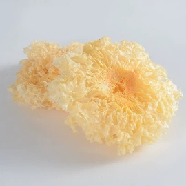 银耳;香菇;鱼胶/花胶