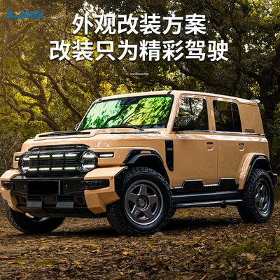 Big Surrounded and rear bumpers, side skirts, rear