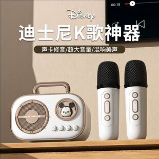Disney Microphone Audio Integrated Microphone Home karaoke Children Singing Wireless Bluetooth Speaker Birthday Gift