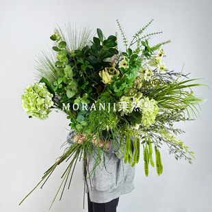 �Gɫ���滨��Y�������üٻ��b��~��ɭϵ�Gֲ��c��ˇ�����쾰