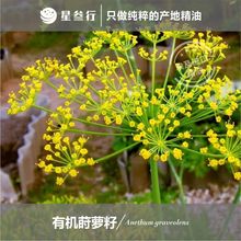 �ЙC�P�}�цη����Ͱ����M�ڷ����o�����ð�Ħ��޹����ԭ�����l