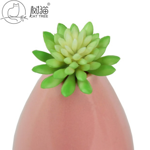 ���㻨�^�������ֲ��5cmʯɏ�^ܛ�z����ֲ��С����΢���^diy���