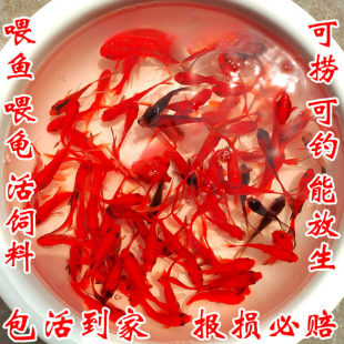 �ݽ�����С�~��ˮ���B���ͻ����ˮ�~�^�p�~����С���~���~��һ��