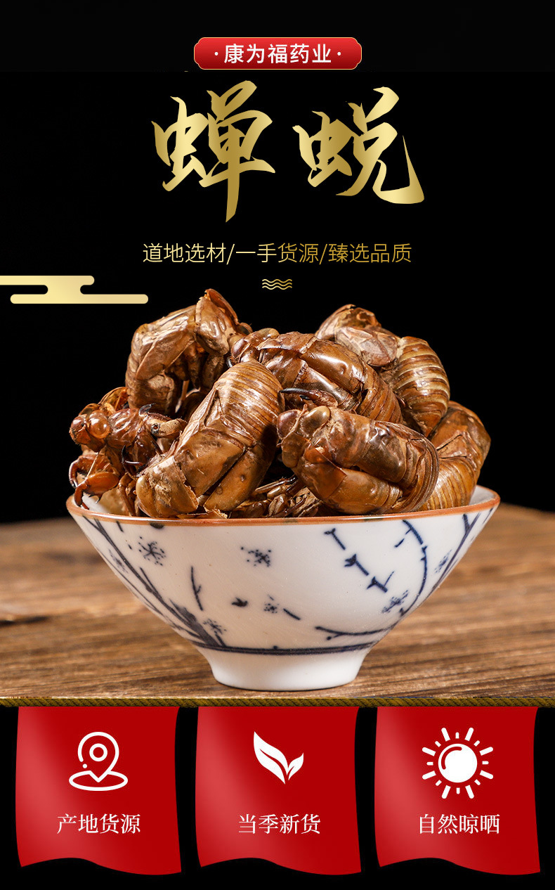 Chan Tui (Cicada Slough) — Washed Dried Cicada Molt for TCM Tea & Decoction overview