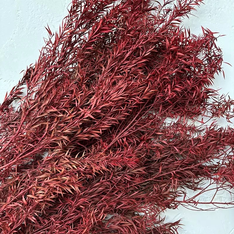 永生花千层金干花批发云南工厂直供花束真花家居装饰永生配材直发|undefined
