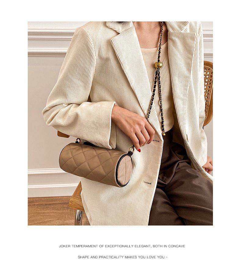 Borsa a tracolla piccola con tracolla singola a catena in tela con stampa zebra cilindrica con perline di trasporto modello 2024 nuovo_voghion.com