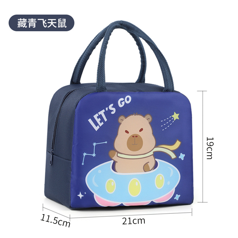 Bolsa de almuerzo infantil de dibujos animados bolsa de almuerzo portátil bolsa de almuerzo aislante de calor bolsa de almuerzo lindo bolsa de almuerzo al trabajo y la escuela estudiantes con bolsa de almuerzo