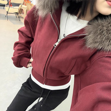 ��ʽ�͹Ű������të�I�̿��Bñ�l��Ů�ﶬ���OӋ������_���l�³�