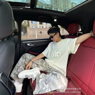 �߰汾����T����H���C�ٴ������Ů�ļ��D��AlO�������ɶ���T��