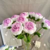 Rose gradient purple